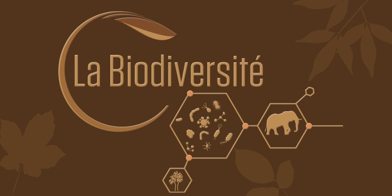 A la reconquête de la Biodiversité